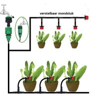 5mv kit`1